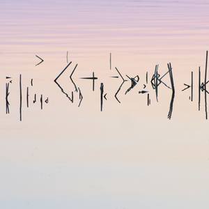 Collection Zen and the poetry of physics