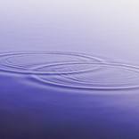 Collection Waves - the poetry of physics