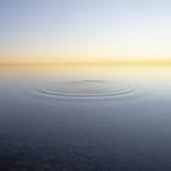 Collection Waves - the poetry of physics