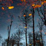 Collection Autumn impressions in a forest lake