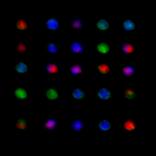 Collection sirius - colours