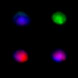 Collection sirius - colours
