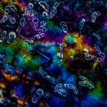 Collection Colors in the ice