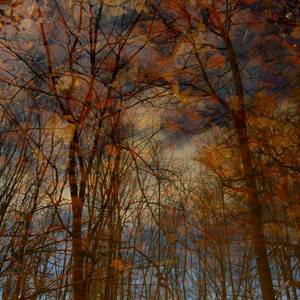Collection Autumn impressions in a forest lake