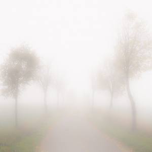 Collection foggy landscapes