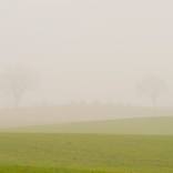 Collection foggy landscapes