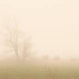Collection foggy landscapes