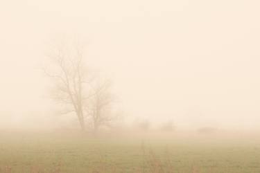 foggy landscape 3 - Limited Edition of 20 thumb