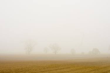 foggy landscape 4 - Limited Edition of 20 thumb