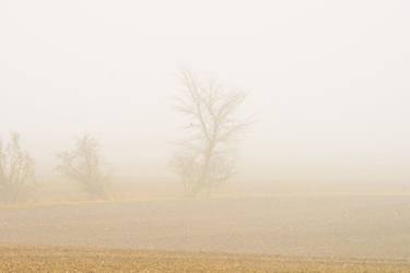 foggy landscape 5 - Limited Edition of 20 thumb