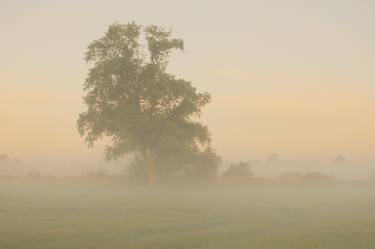 foggy landscape 6 - Limited Edition of 20 thumb