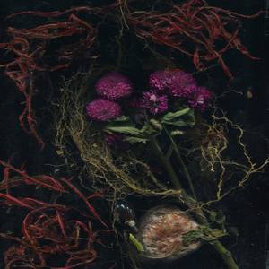 Collection Gifts of the Sea: Flowers of Mourning