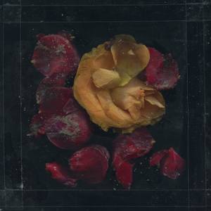 Collection Gifts of the Sea: Flowers of Mourning