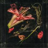 Collection Gifts of the Sea: Flowers of Mourning