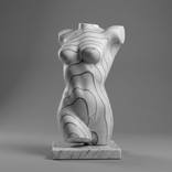 Collection Elemental Forms