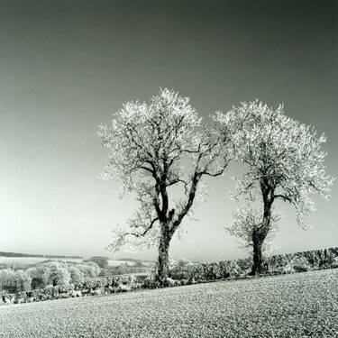 Original Fine Art Landscape Photography by Adrian Ensor