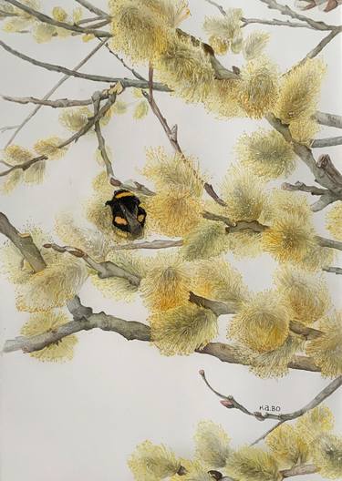 Original Fine Art Botanic Paintings by Kathi Bolot