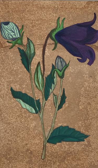 Original Floral Paintings by Kainat Tariq