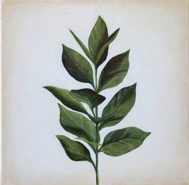 Print of Fine Art Botanic Paintings by Evgeniia Shipunova