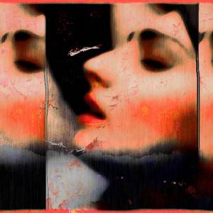 Collection The Face of Portraiture