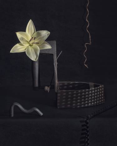 Print of Conceptual Still Life Photography by Paulina Aleshkina