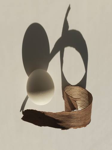 Egg and dry leaf composition - Limited Edition of 25 thumb