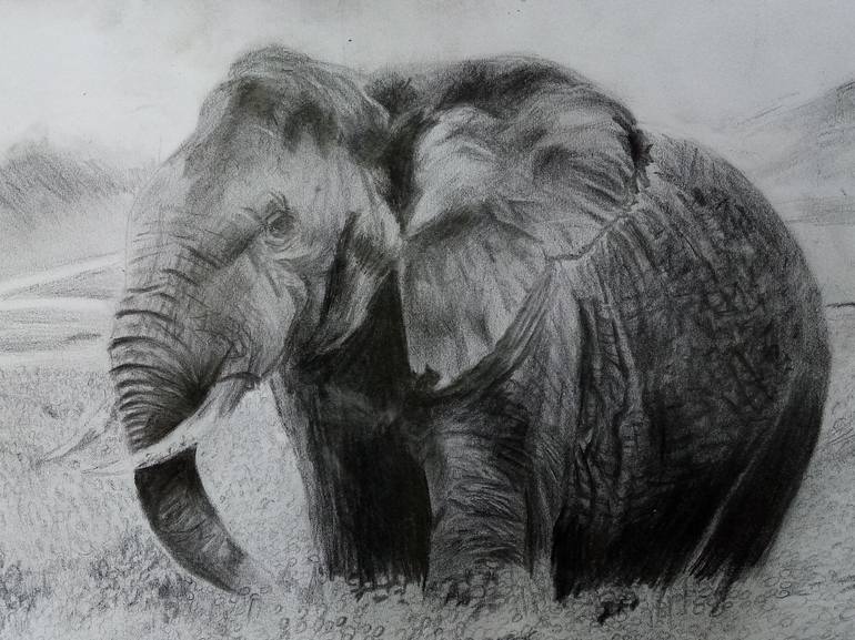 Elephant pencil drawing - Print