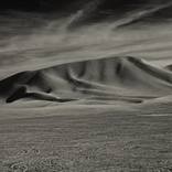 The Desert Knows by Kelly Rae Daugherty