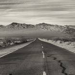 The Desert Knows by Kelly Rae Daugherty