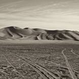 The Desert Knows by Kelly Rae Daugherty