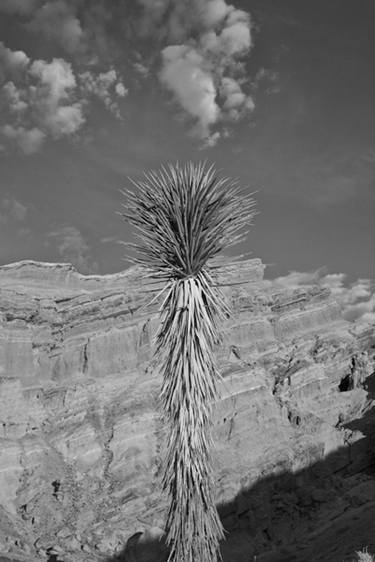 Death Valley thumb