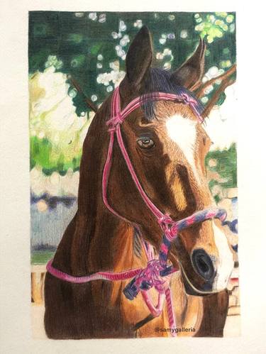 Original Portraiture Horse Paintings by Saman Khan