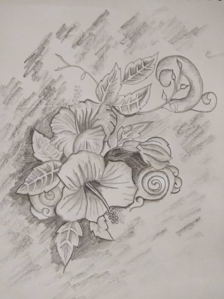 Hibiscus Drawing By Debmalya Ray Saatchi Art