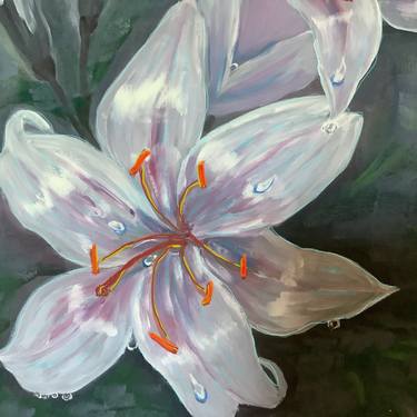 Oil painting, flower white lily thumb