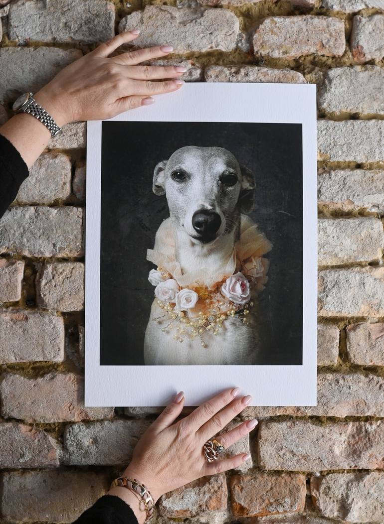 Original Figurative Dogs Photography by Tatsiana Melnikava
