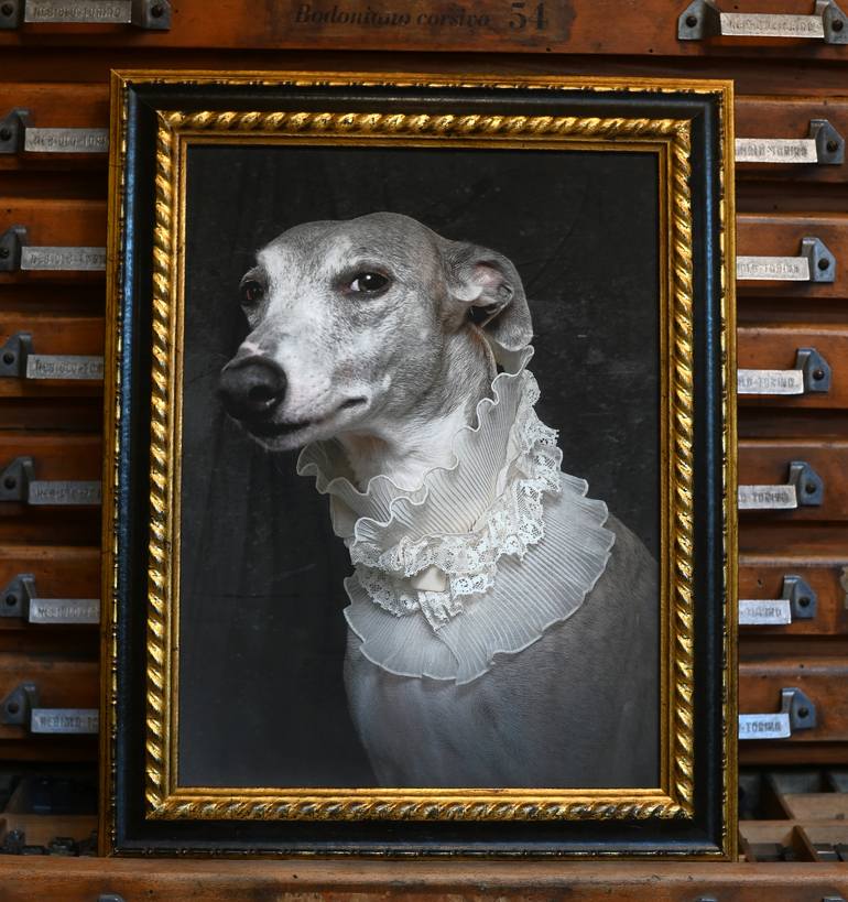 Original Figurative Dogs Photography by Tatsiana Melnikava