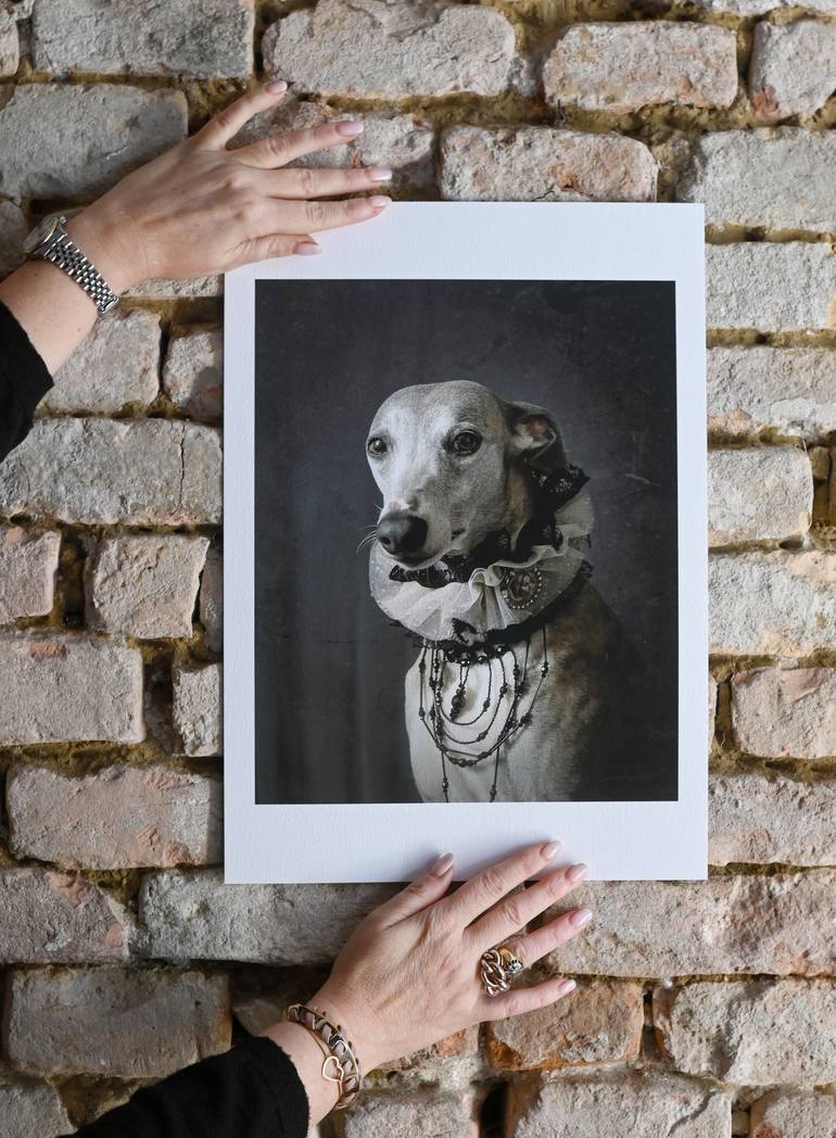 Original Dogs Photography by Tatsiana Melnikava