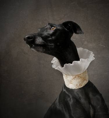 Original Animal Photography by Tatsiana Melnikava