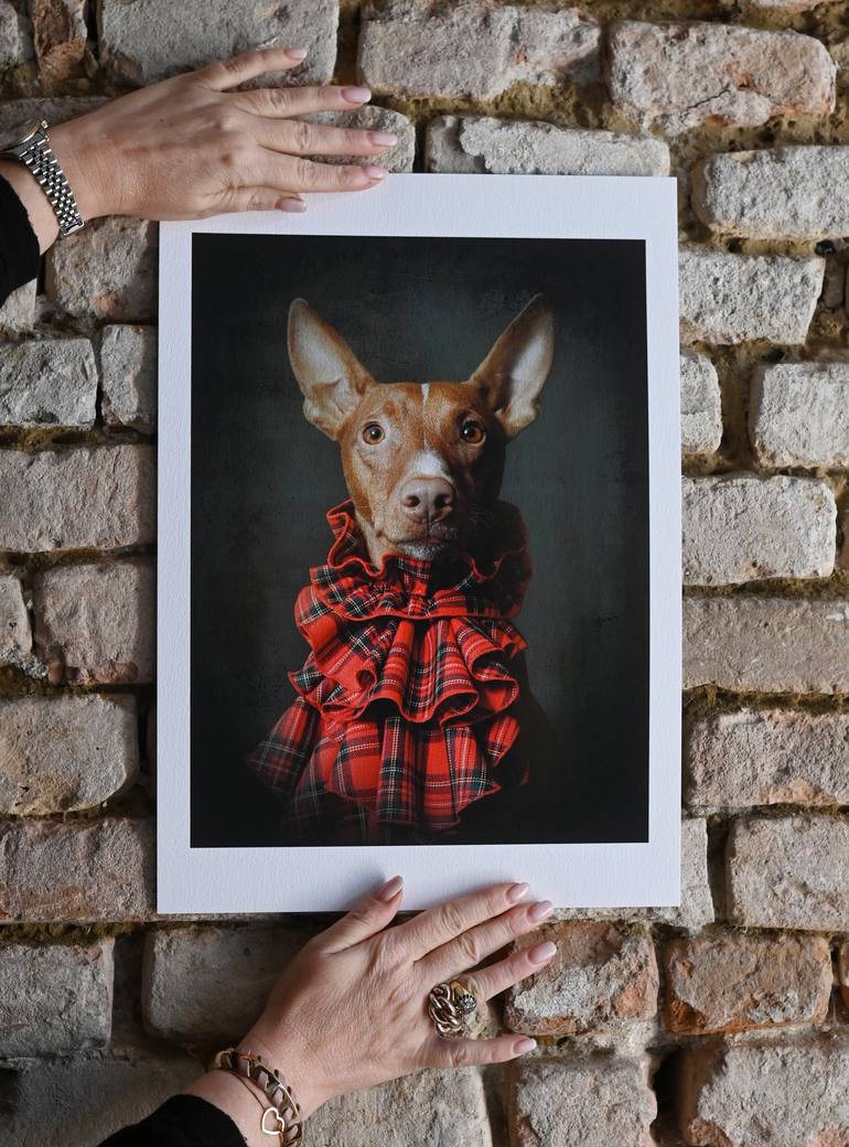 Original Dogs Photography by Tatsiana Melnikava