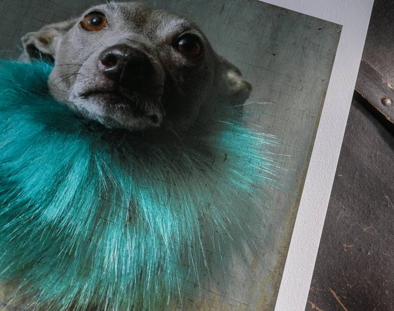 Original Figurative Dogs Photography by Tatsiana Melnikava