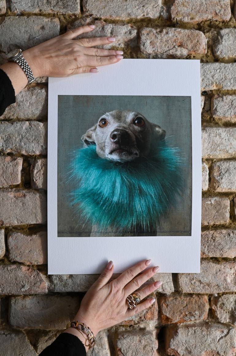 Original Figurative Dogs Photography by Tatsiana Melnikava