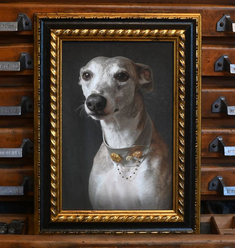 Original Figurative Dogs Photography by Tatsiana Melnikava