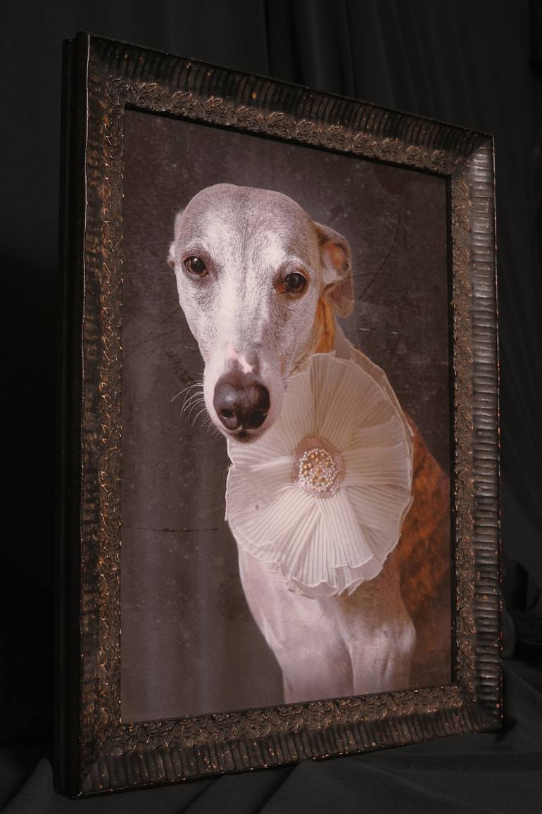 Original Figurative Dogs Photography by Tatsiana Melnikava