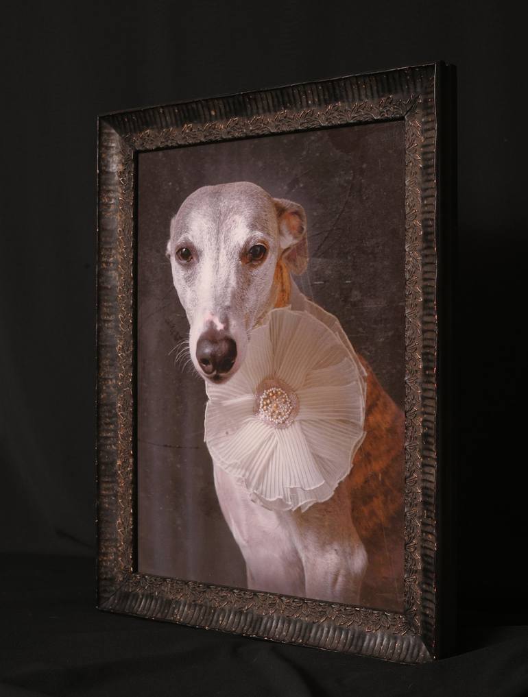 Original Figurative Dogs Photography by Tatsiana Melnikava