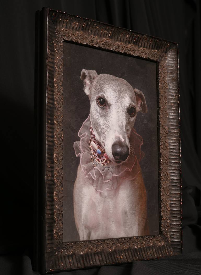 Original Figurative Dogs Photography by Tatsiana Melnikava