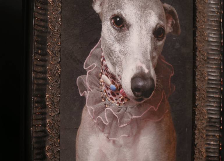 Original Figurative Dogs Photography by Tatsiana Melnikava