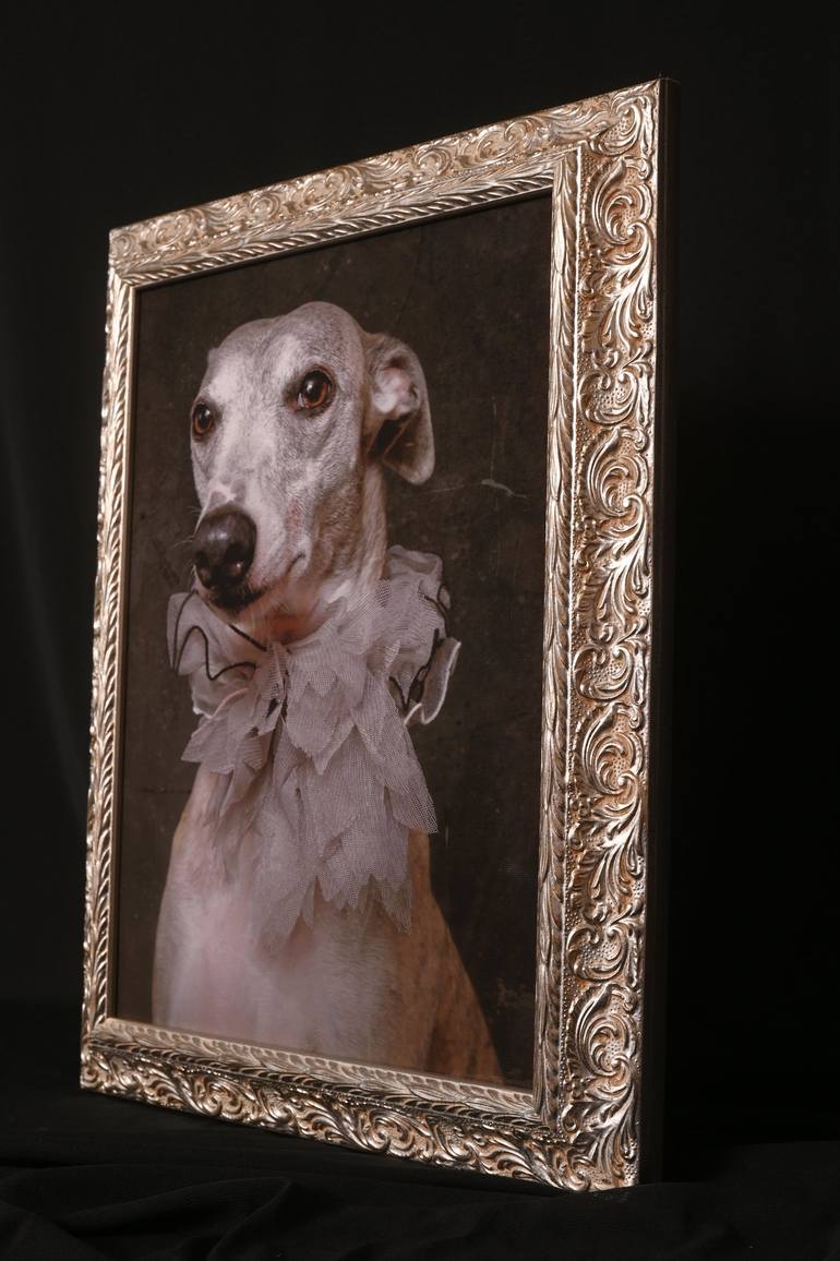 Original Figurative Dogs Photography by Tatsiana Melnikava