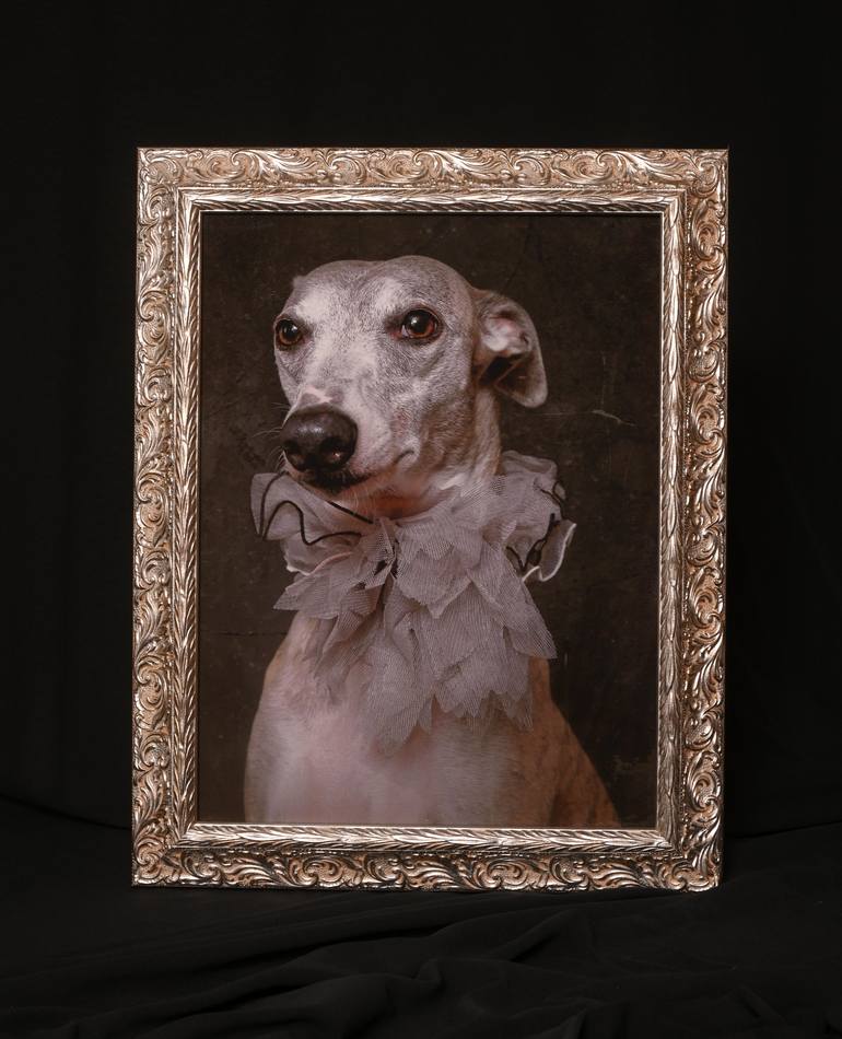 Original Figurative Dogs Photography by Tatsiana Melnikava