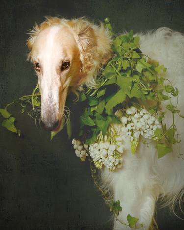 Original Figurative Dogs Photography by Tatsiana Melnikava