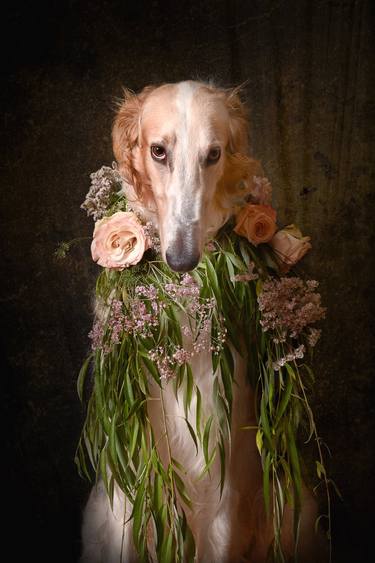 Original Figurative Dogs Photography by Tatsiana Melnikava